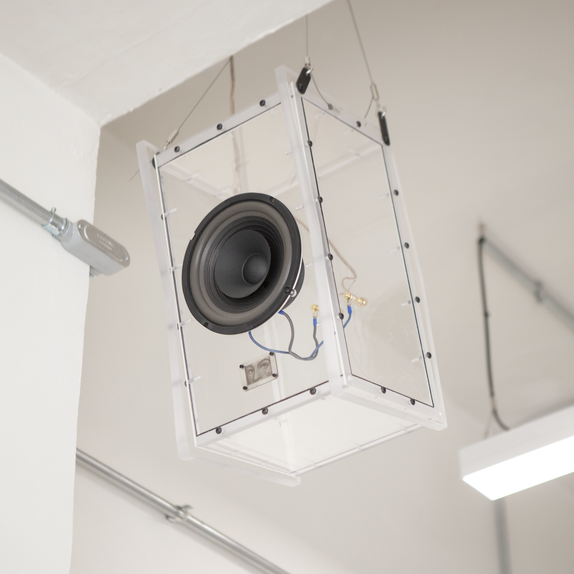 Quetzal 8" Rango Completo | Altavoces Pasivos Outfox