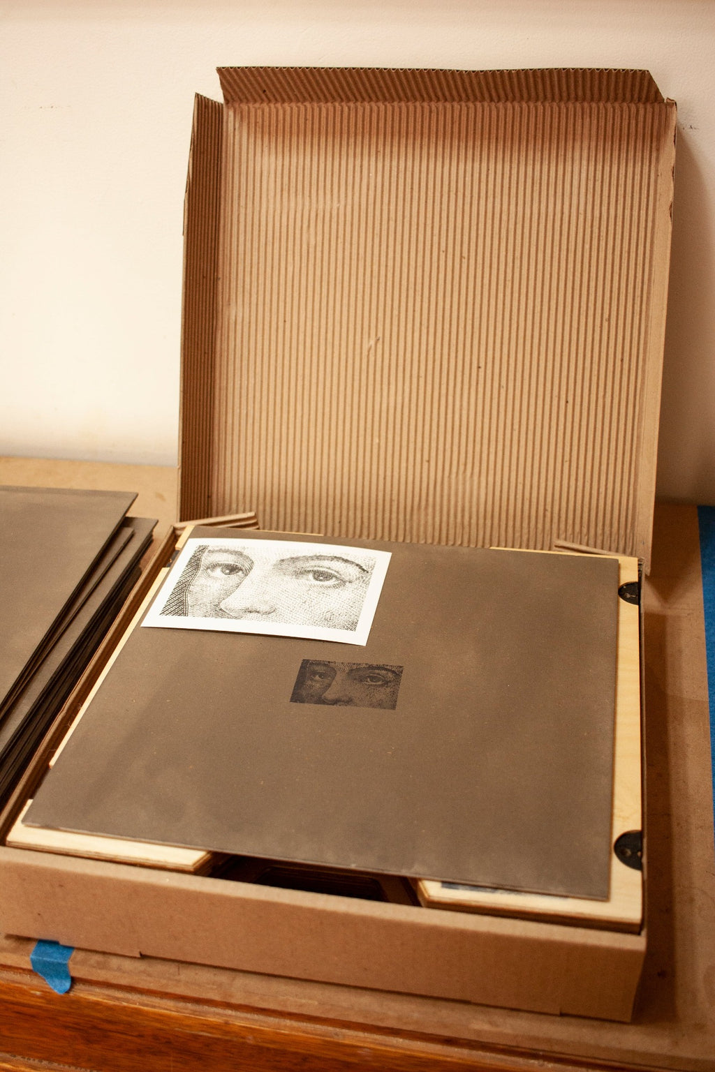 Caja Para Vinilos LP Box "Shark"