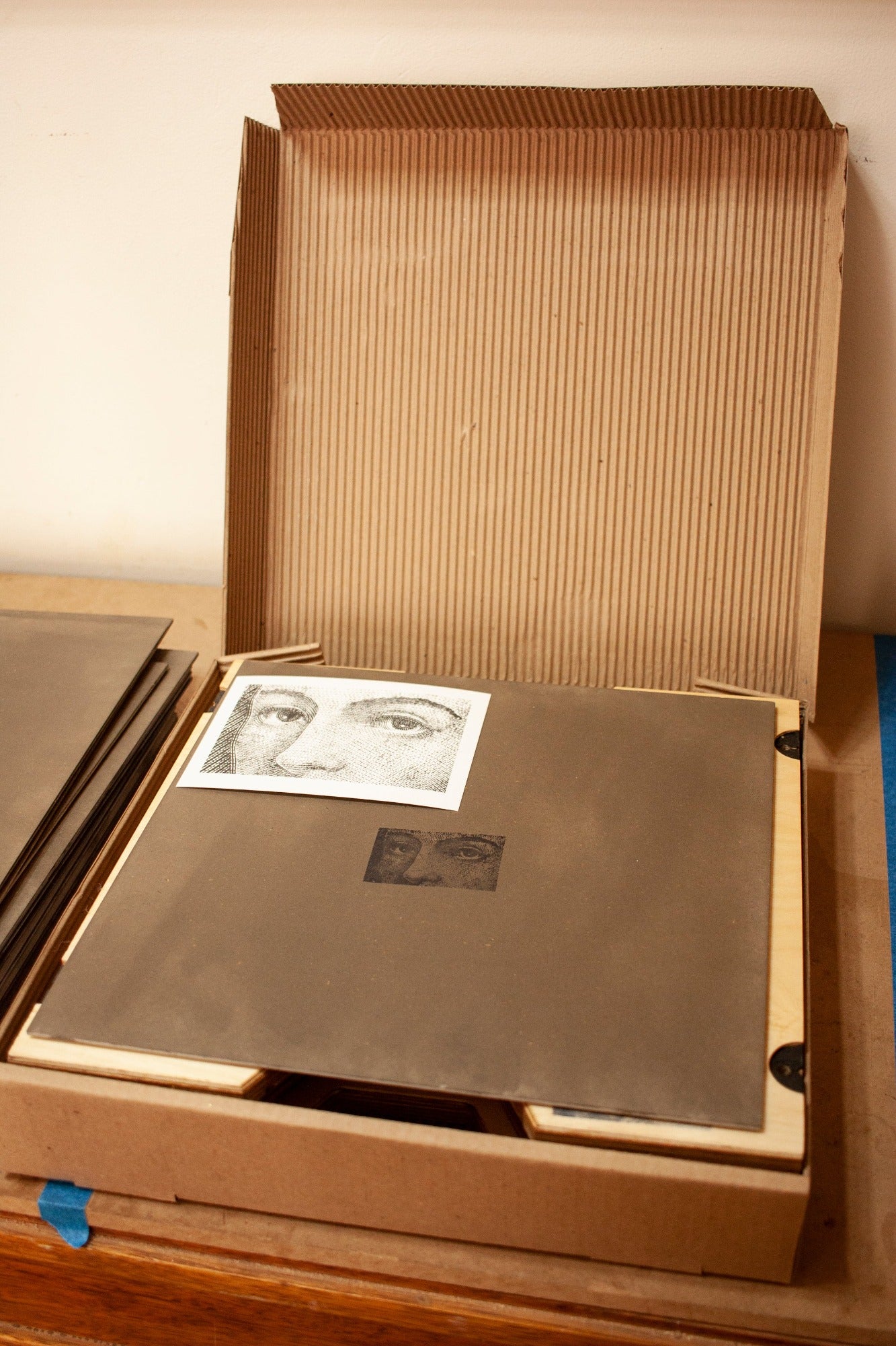 Caja Para Vinilos LP Box "Shark"