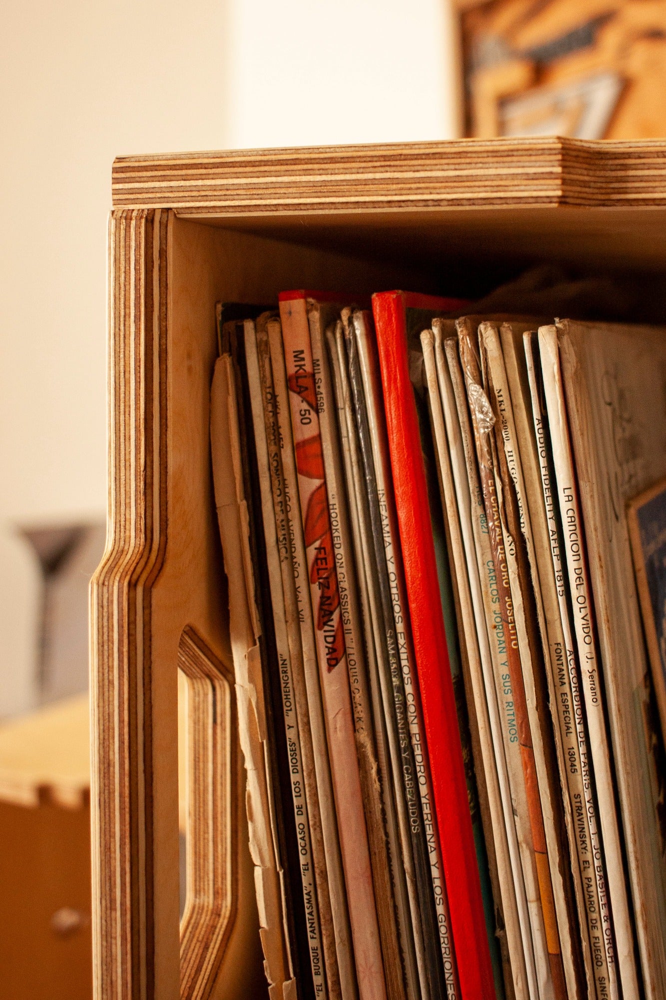 Caja Para Vinilos LP Box "Shark"